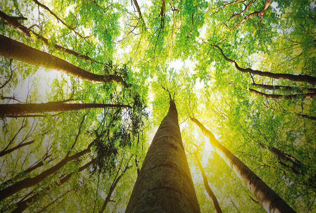 I “Big” della salute a fianco dei servolani